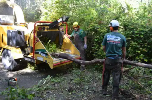 tree services North Courtland